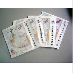 Dunhuang Yueqin String Set