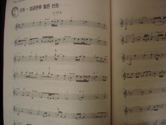 12-string Sanjo Kayagum Textbook