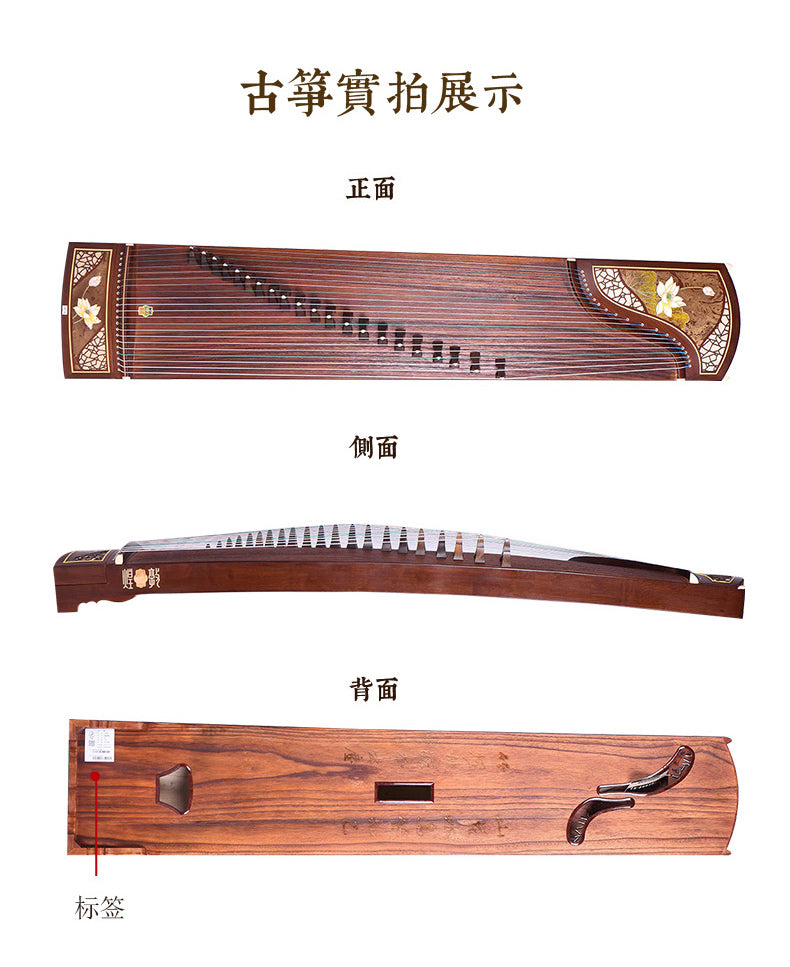 Dunhuang Teak 7691PM Guzheng "Lotus in the Pond"